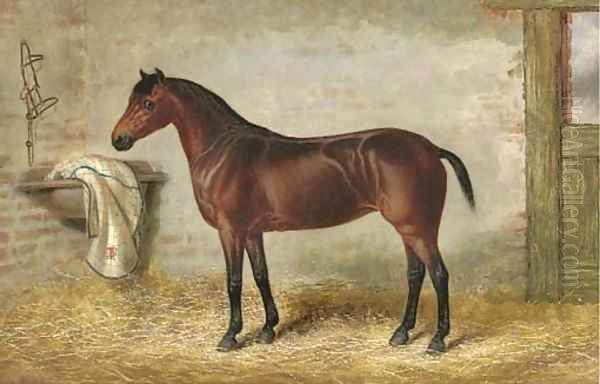 A bay hunter in a stable Oil Painting by George Earl