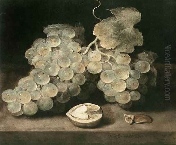 Grape with Walnut Oil Painting by Jacob Fopsen van Es