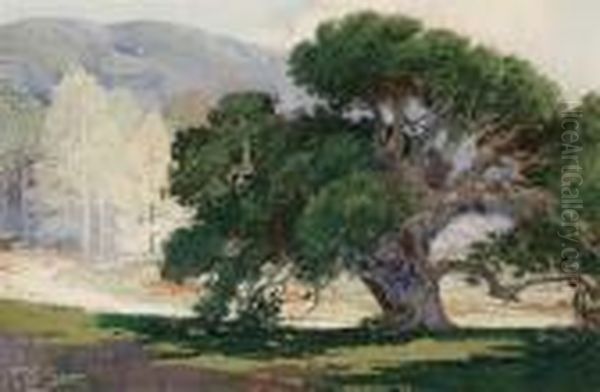 Oak Tree Oil Painting by Fred Grayson Sayre