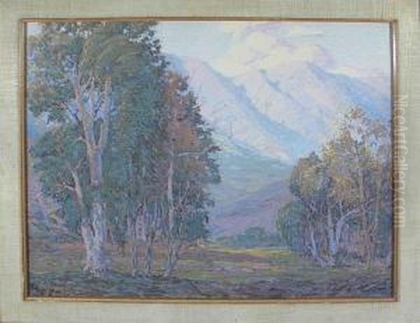 Eucalyptus In The Foothills Oil Painting by Fred Grayson Sayre