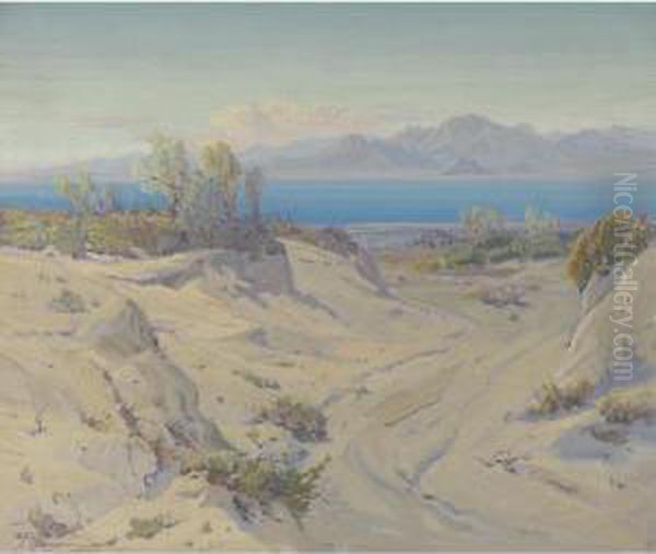 Smoke Trees At The Salton Sea Oil Painting by Fred Grayson Sayre