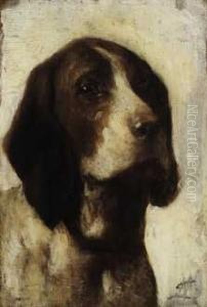 Testa Di Bracco Italiano Oil Painting by Giuseppe Michele Scaglia