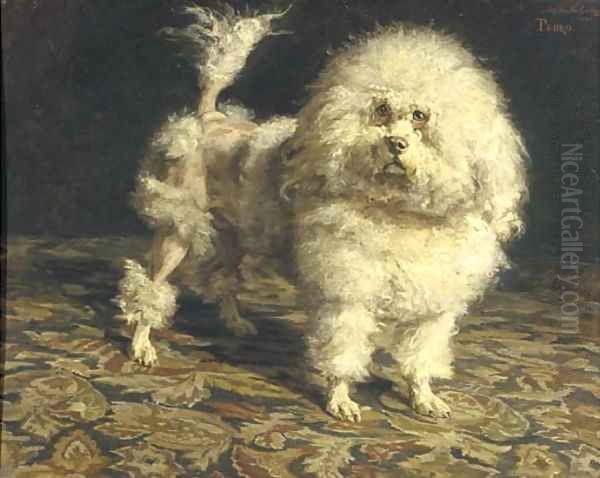 Pedro portrait of a poodle Oil Painting by Charles van den Eycken