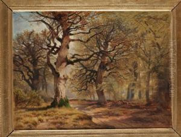 Waldlandschaft Oil Painting by August Schaeffer von Wienwald