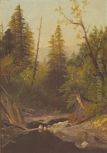 Near Felton, Santa Cruz Mountains,california Oil Painting by Frederick Ferdinand Schafer