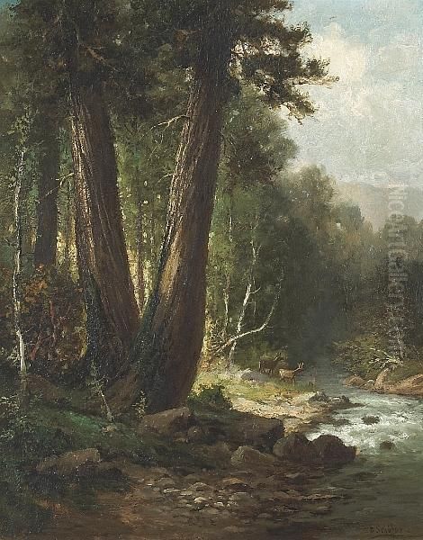 On Boulder Creek, Santa Cruz Mountains, California Oil Painting by Frederick Ferdinand Schafer