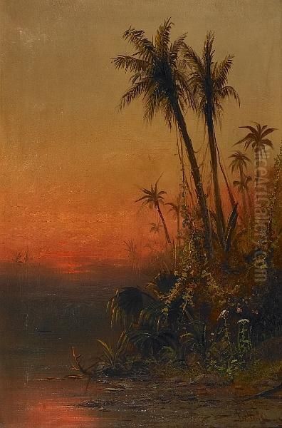 Evening On The Amazon River Oil Painting by Frederick Ferdinand Schafer