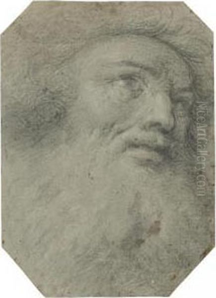 Head Of A Bearded Man, Looking Up To The Right Oil Painting by Bartolomeo Schedoni