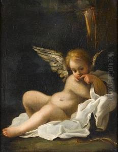 Cupid Oil Painting by Bartolomeo Schedoni