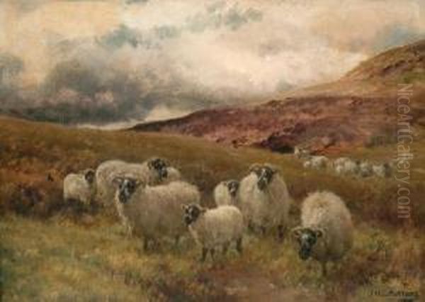 Grazing Sheep Oil Painting by Jan Hendrik Scheltema