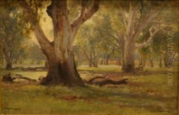 Tocumwal Oil Painting by Jan Hendrik Scheltema