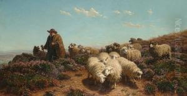 A Shepherd And His Flock Amongst Heather. Oil Painting by August Friedrich Schenck