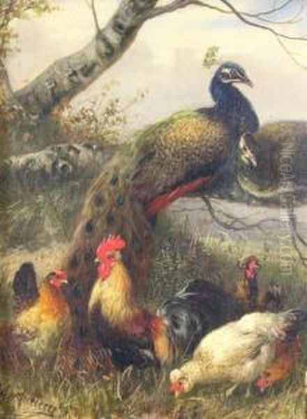 Cockerel And Hens Withpeacocks And A Peahen Oil Painting by Julius Scheurer