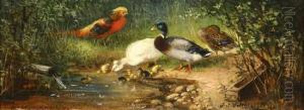 Birds Gathering At The Stream Oil Painting by Julius Scheurer