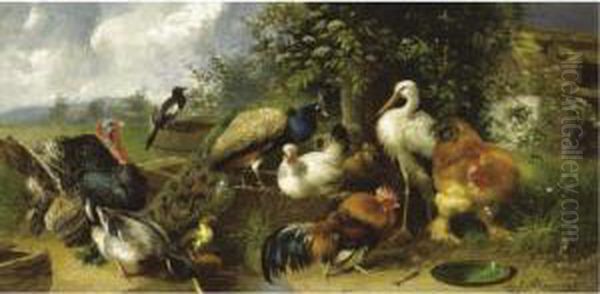 Farmyard Birds Oil Painting by Julius Scheurer