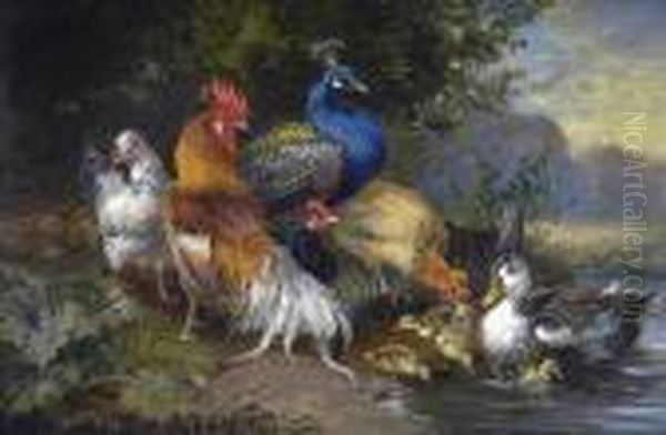 Companions,poultry, Ducks And Peacock By A Woodland Pool Oil Painting by Julius Scheurer