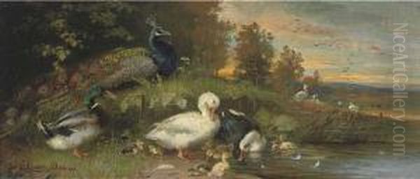 Ducks And A Peacock On The Banks Of A River At Dusk Oil Painting by Julius Scheurer