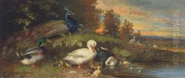 Ducks And A Peackock At A Lakeside Oil Painting by Julius Scheurer