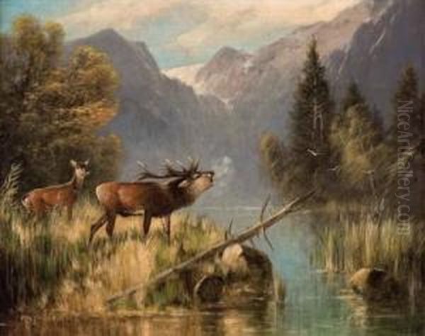 Rotwild Am Seeufer Oil Painting by Otto Scheuerer