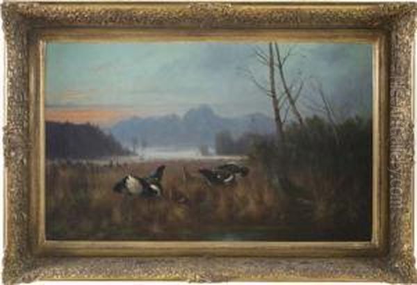 Voralpenlandschaft - Moor Mit Birkhahnen - Und Hennen Oil Painting by Otto Scheuerer