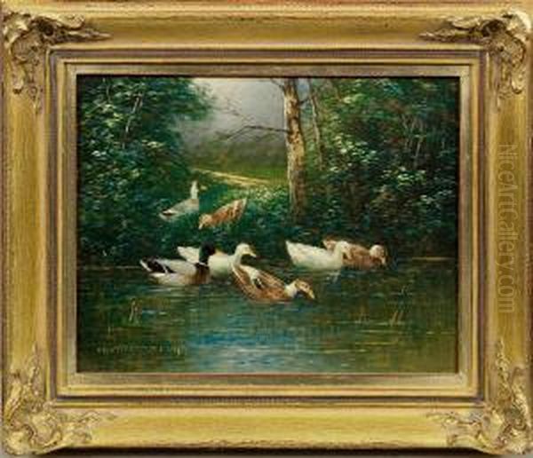 Enten Amteichufer Oil Painting by Otto Scheuerer