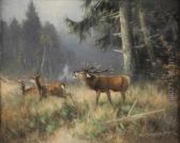 Waldlichtung Mit Hirschrudel. Oil Painting by Otto Scheuerer