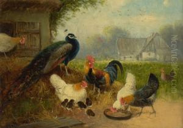 Huhnerhof Mit Pfau. Oil Painting by Otto Scheuerer