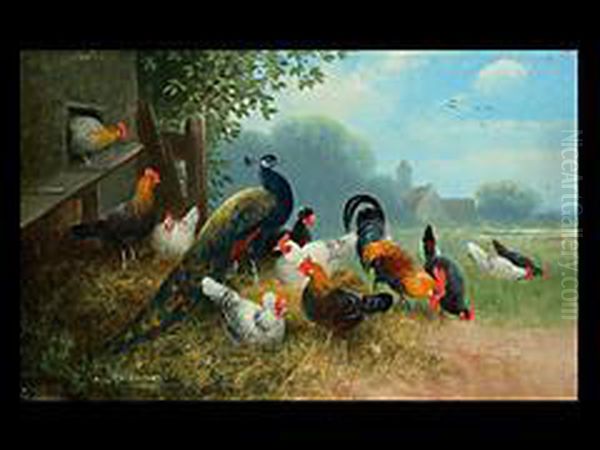 Pfau, Ein Hahn Und Huhner An Einem Stall Oil Painting by Otto Scheuerer