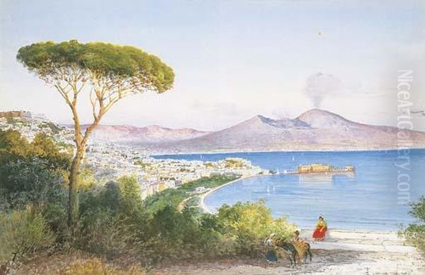 Veduta Del Golfo Di Napoli Oil Painting by Federico Schianchi