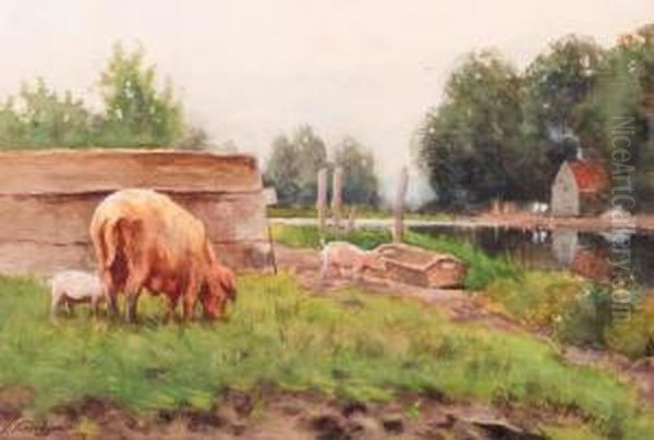 Pigs In A Yard Oil Painting by Petrus Paulus Schiedges