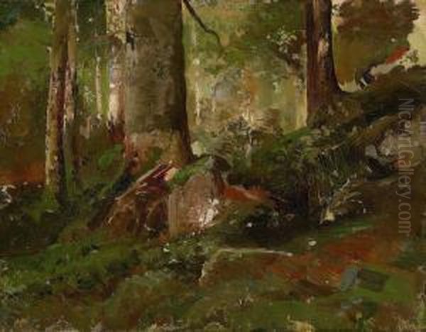 Studio Di Bosco Oil Painting by Emil Jakob Schindler