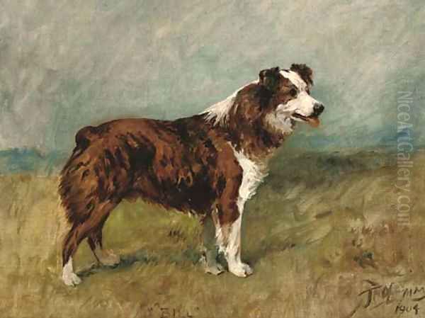 Bill, a collie Oil Painting by John Emms