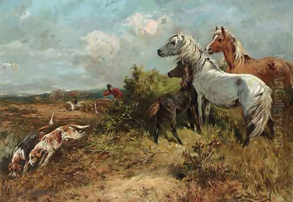 Ponies watching the hunt Oil Painting by John Emms