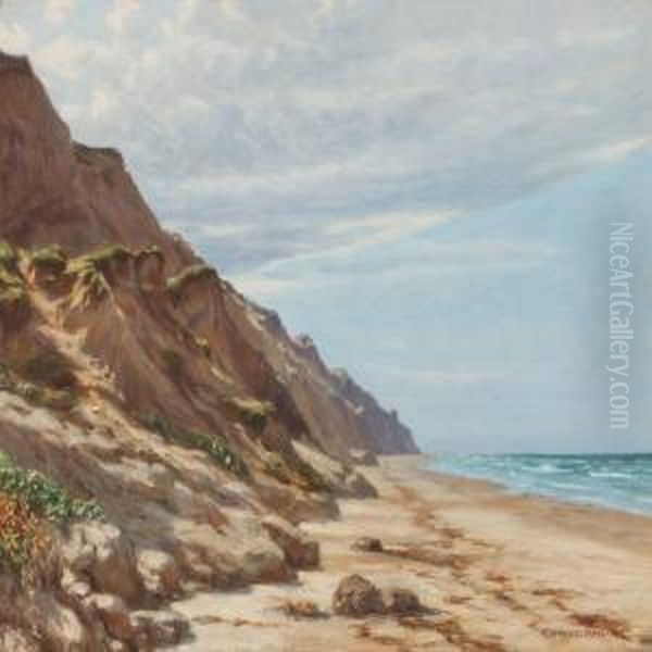 Coastal Scenery Oil Painting by Niels Frederik Schiottz-Jensen