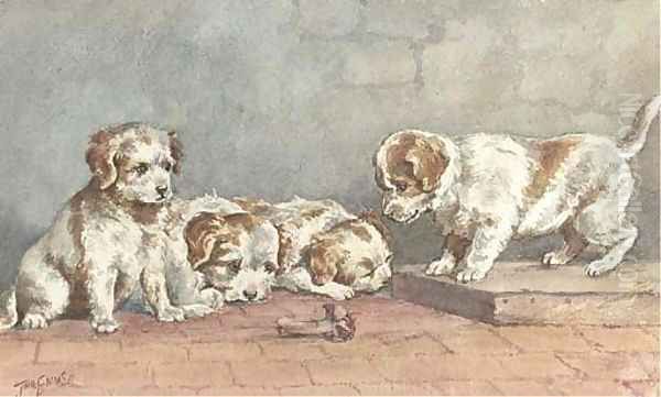 Puppies on a step Oil Painting by John Emms