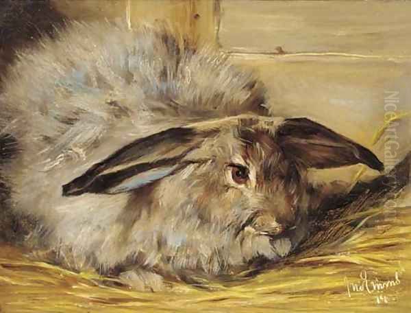 A rabbit Oil Painting by John Emms