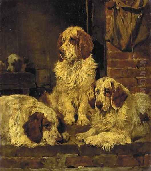 Clumber Spaniels 2 Oil Painting by John Emms