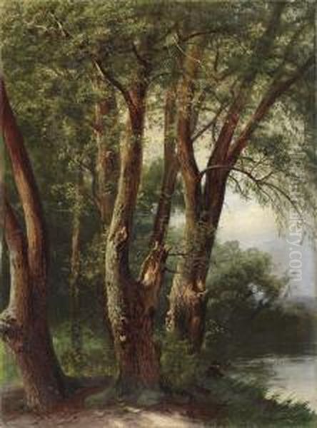 Waldstuck Am See Miteinem Angler Oil Painting by Johann Wilhelm Schirmer