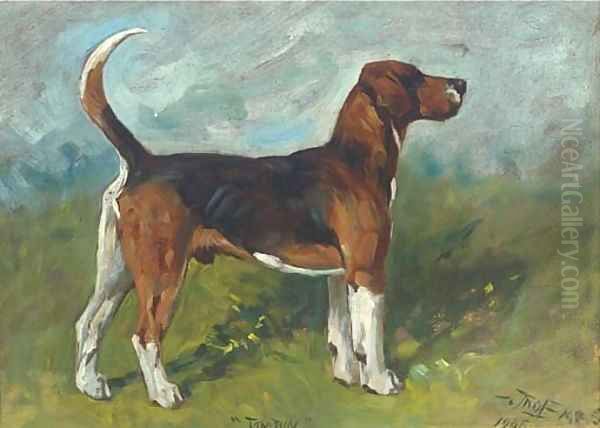 Tomboy, a hound in a landscape Oil Painting by John Emms