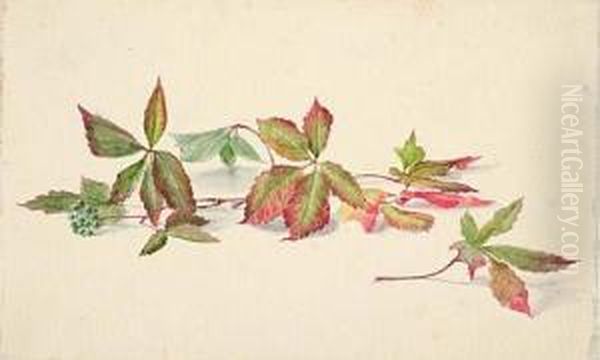 Leaf Studies Oil Painting by August Friedrich Schlegel