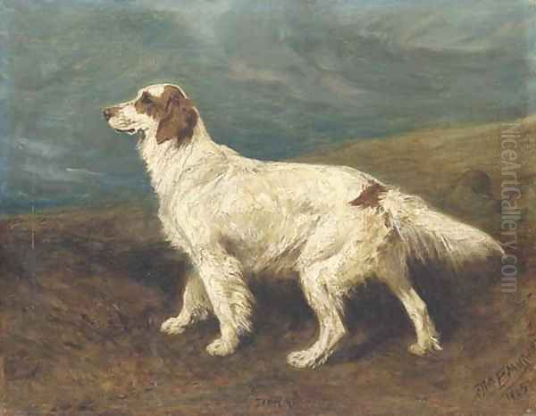 Dora, an English setter in a landscape Oil Painting by John Emms