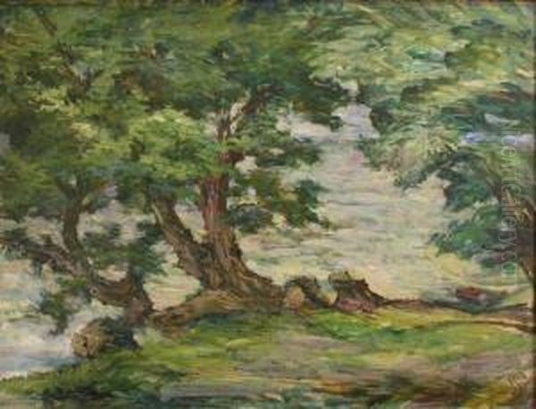 Arbres Au Bord De La Riviere by Willy Schlobach