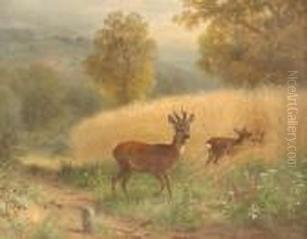 Rotwild Auf Einer Waldlichtung Oil Painting by Anton Schmitz