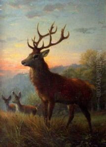 Aufmerksamer Hirsch Und Rehe Bei Morgenrot Oil Painting by Anton Schmitz