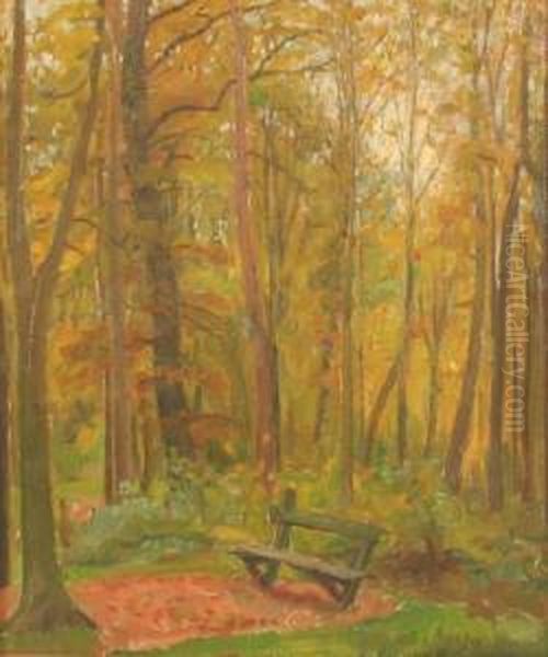 Studie Einer Bank Im Wald Oil Painting by Carl Schmitz-Pleis