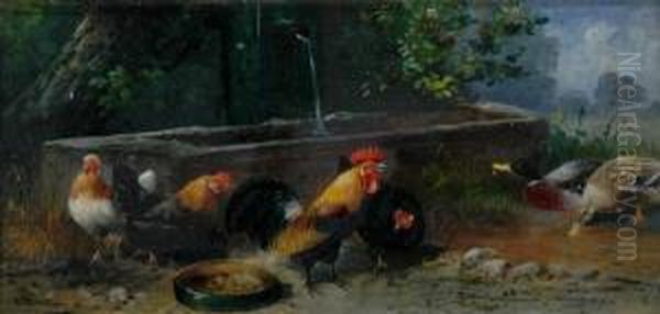 Ducks Oil Painting by Alfred Schonian