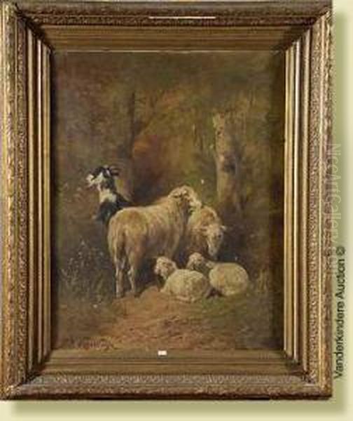 Moutons Et Chevre Oil Painting by Paul Henry Schouten