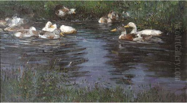 A Peaceful Swim Oil Painting by Rudolf Schramm-Zittau