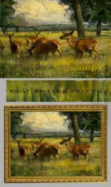 Rehe Auf Einer Waldlichtung Oil Painting by Rudolf Schramm-Zittau