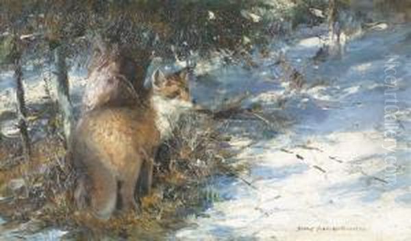 Fuchs Im Winter. Oil Painting by Rudolf Schramm-Zittau